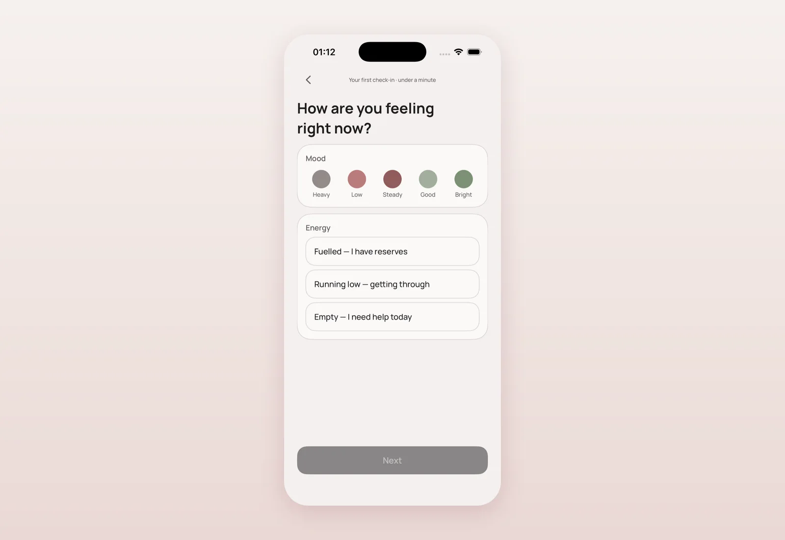 Early check-in screen with Mood options from Heavy to Bright and Energy options from Fuelled to Empty, shown in English.